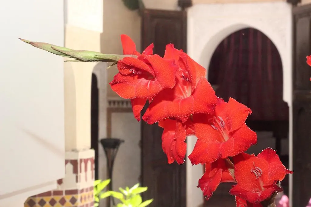 Riad Les Clefs Du Sud Marrakesh Maroc