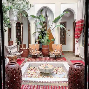 Anaïs Marrakech Marrakesh