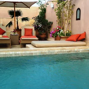 Viva Marrakesh